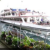 IMG_1206.JPG
