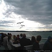IMG_1231.JPG