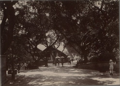 C4-1920a.jpg