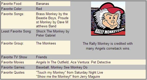 RALLY MONKEY 1