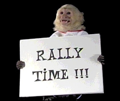 RALLY MONKEY (2)