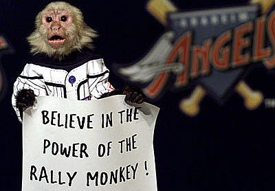 RALLY MONKEY (3)