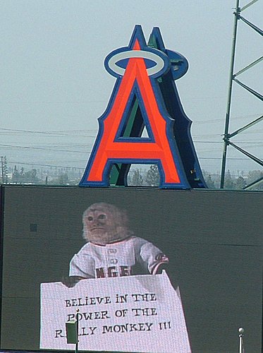 RALLY MONKEY