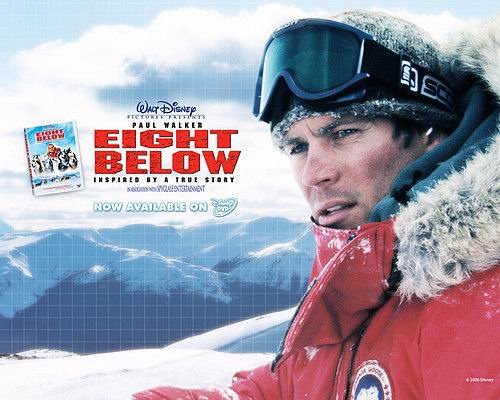 極地長征（Eight Below） (3)