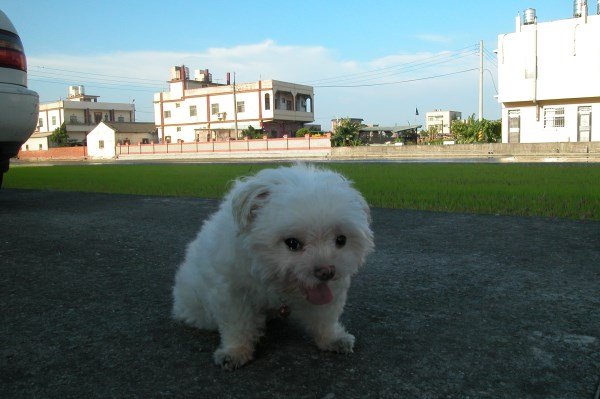 20080723 益源古厝 (2)