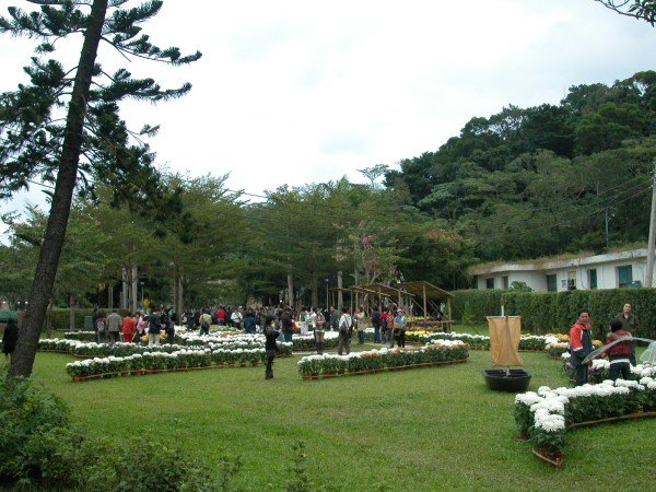 DSCN2553
