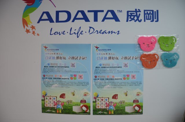 ADATA 威風熊 (5)