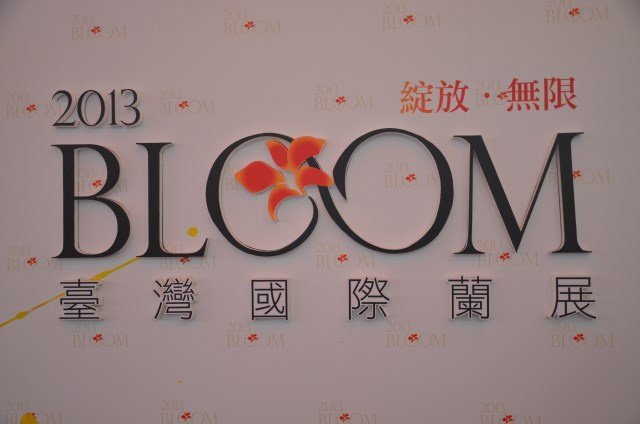 2013Bloom台灣國際蘭展 (163)