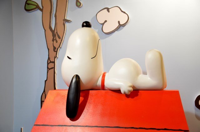 SNOOPY (70)