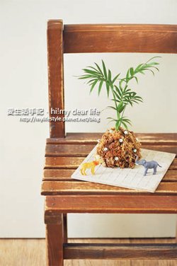 盆栽樂5