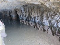IMG_1192.jpg