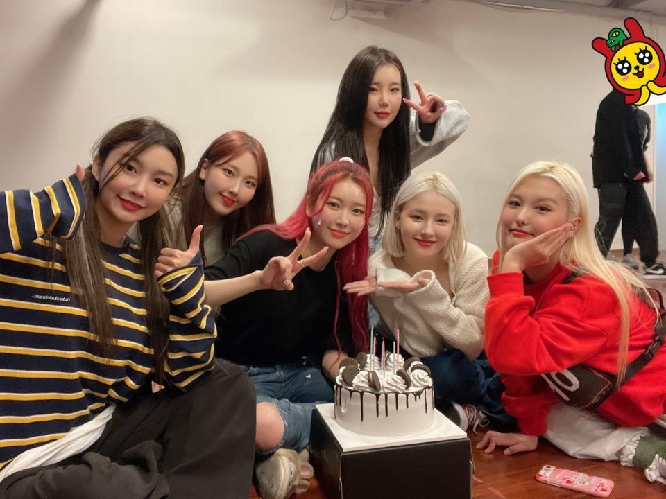 momoland.jpeg