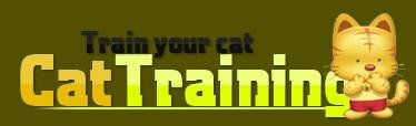 CatTraining-logo