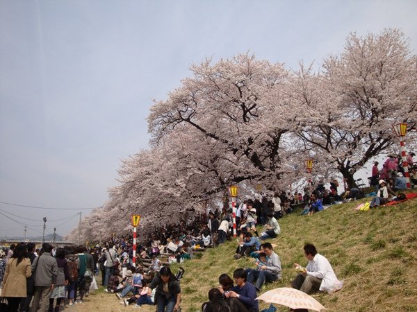 DSC00128.jpg