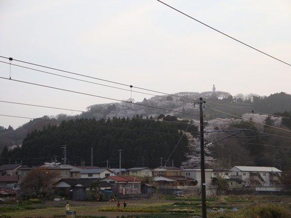 DSC00178.jpg