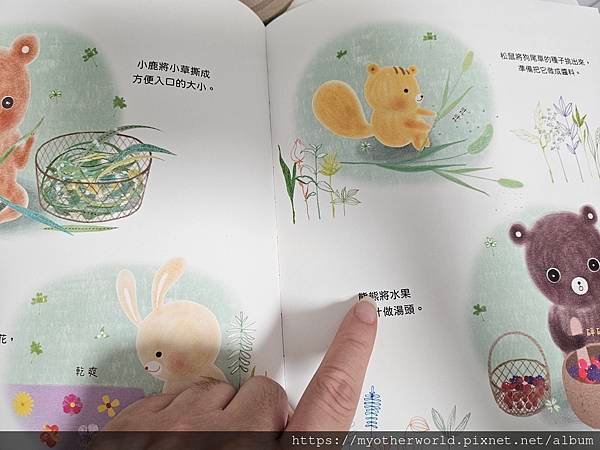 圖書心得 || 《 夏草麵條：白有娟的森林動物點心饗宴》，透