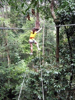 skytrex16.jpg