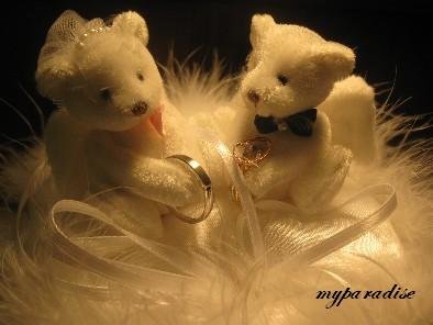 IMG_10841.jpg