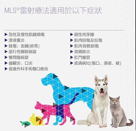 MLS雷射治療