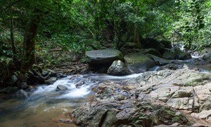 Phuket-Bang-Pae-waterfall_02-300x180