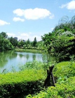 大安森林公園.jpg