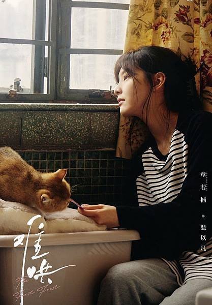 【難哄】令人心疼的溫以凡