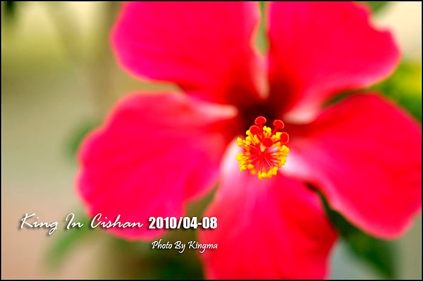 _IGP1370.jpg