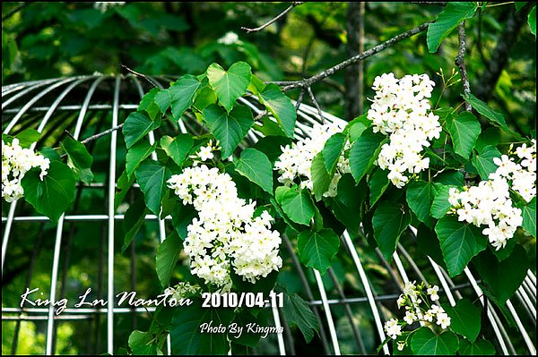 _IGP1708.jpg