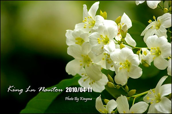 _IGP1710.jpg