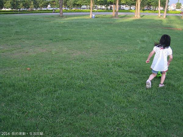 IMG_7310.JPG