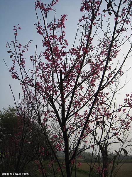 IMG_1899.JPG