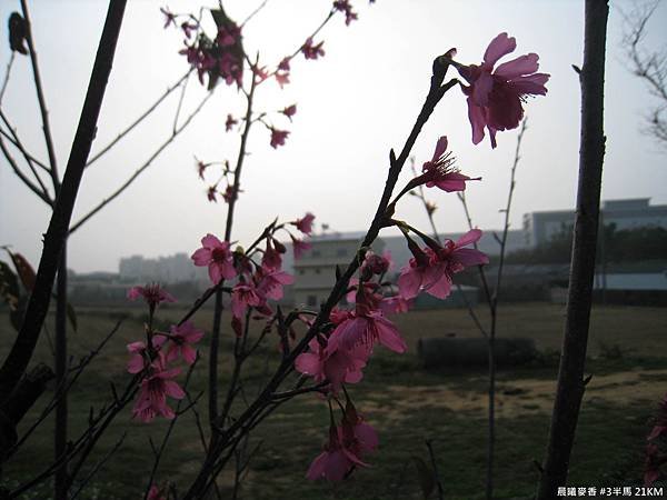 IMG_1900.JPG