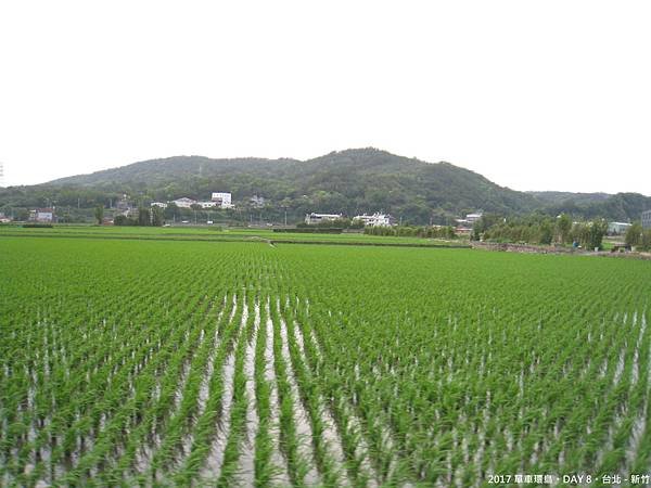 IMG_3089.JPG