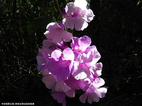 IMG_7744.JPG