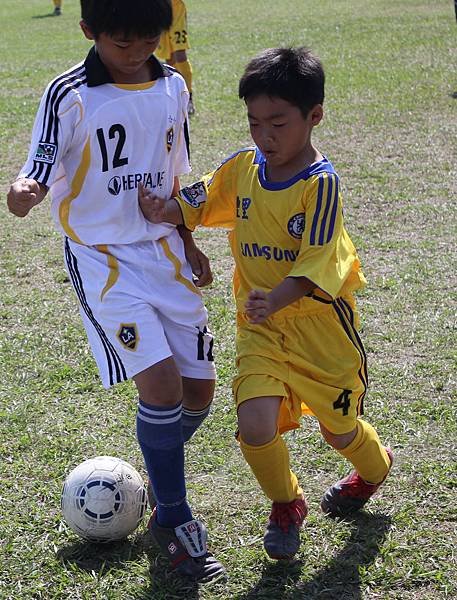 IMG_5218.jpg