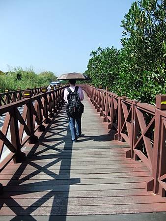 漫步在水筆仔公園木棧道上，甚是暇意