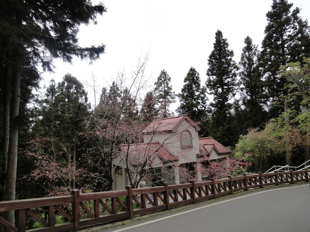 DSC03247.JPG
