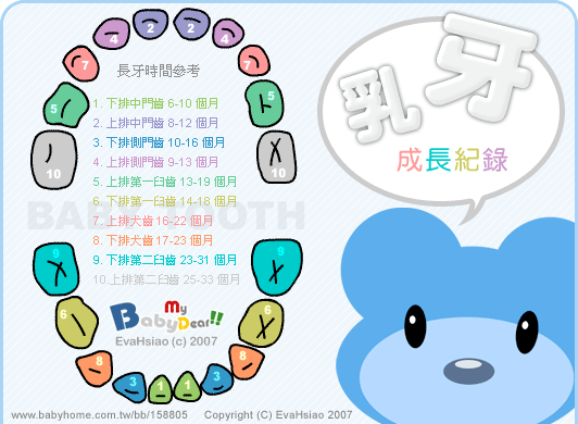 乳牙成長記錄表.gif