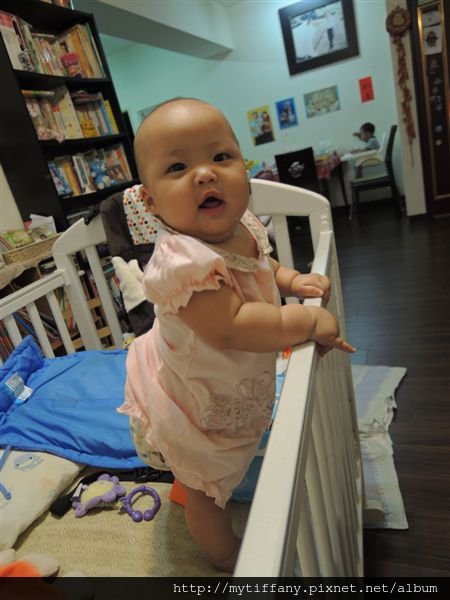DSCN3355.JPG