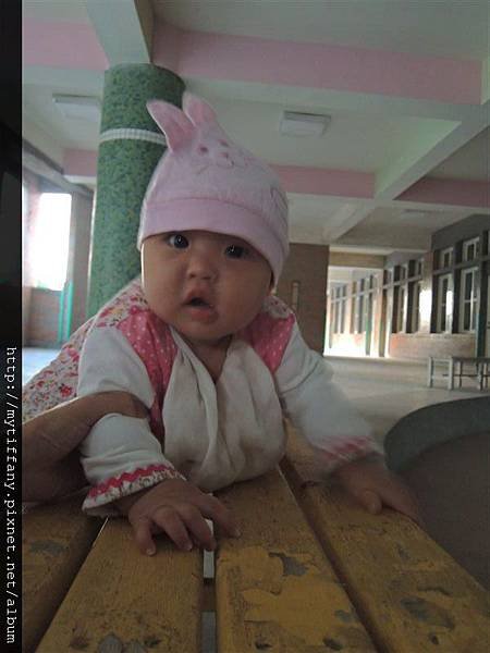 DSCN3365.jpg