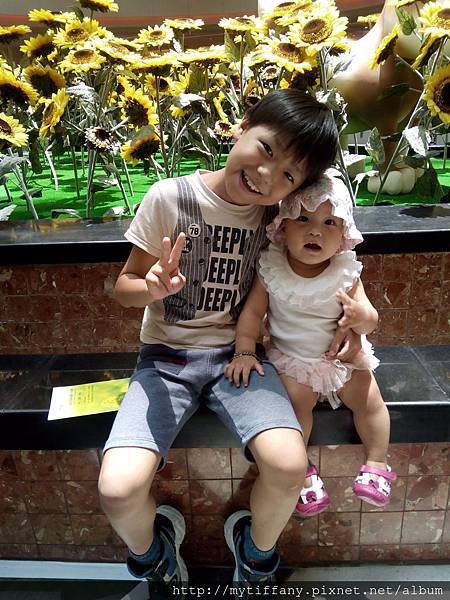 IMG_20140601_123552.jpg