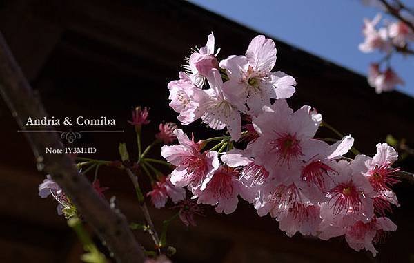 2014022302.jpg