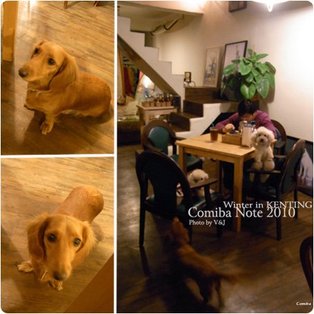 2011010104.jpg