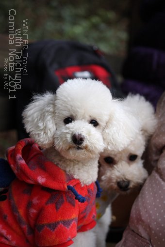 2011021706.jpg