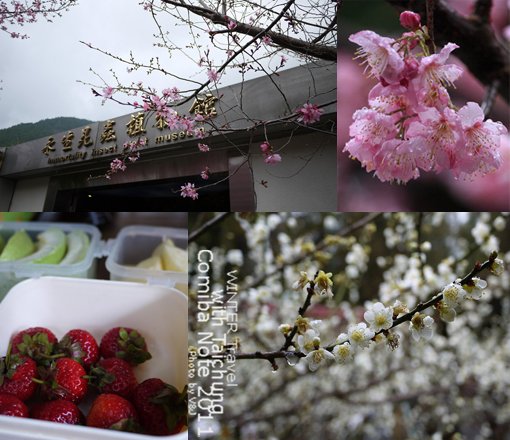 2011021712.jpg