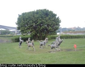 DSCN3410.JPG