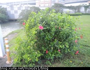 DSCN3412.JPG