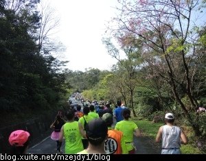 DSCN0137.JPG