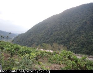 DSCN4888.JPG