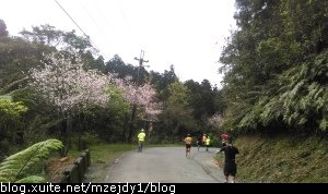 IMAG0453.jpg